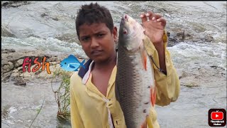 khaja kotnoor dam and fishing 🐟 👍🌧️ gulbarga....