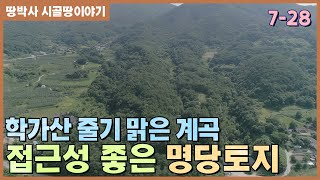 (7-28) 고민하는 순간 늦다. 접근성이 좋고 집 짓고 송이버섯 따며 산림경영 부지로 활용 가능한 명당토지.