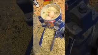 Production and processing of various feed pellet machines！