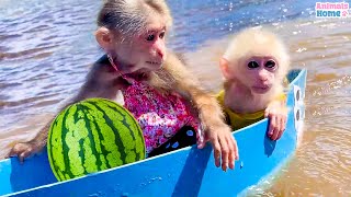 BiBi repaired and rowed the boat to take the baby monkey Obi to pick fruit