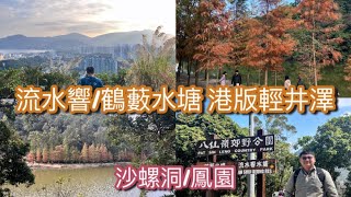 香港🇭🇰粉嶺+大埔+八仙嶺郊野公園+流水響水塘+鶴藪水塘+沙螺洞+鳳園