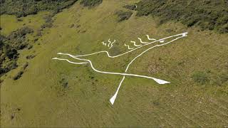 WHITE HORSE.  FOLKESTONE DRONE FOOTAGE