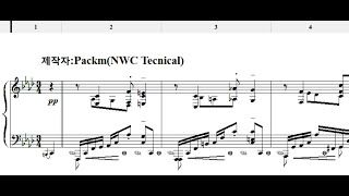 [NWC사보] Godowsky(고도프스키) - Chopin(쇼팽) etude Op.25 No.4 2nd version(부제:불안)