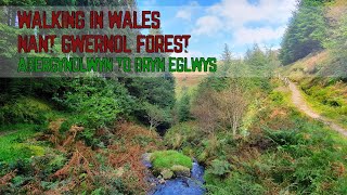 Walking Around Wales - #1 - Nant Gwernol Woodland Trails