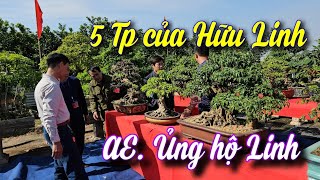 SH.9734. Cháu Hữu Linh không may bị đột quỵ. AE làng cây mua ủng hộ Linh. Giá còn có thương lượng