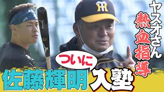 【秋季練習最終日】謎の動き再び⁉︎藤井コーチが佐藤輝を4スタンス理論で指導‼︎吉田正尚・柳田悠岐に続く左のスラッガーに名乗りを上げろ！阪神タイガース密着！応援番組「虎バン」ABCテレビ公式チャンネル