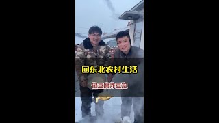 回东北生活第22天，去做一板豆腐回来炸豆泡，结果竟然            #东北生活 #东北农村生活 #记录生活