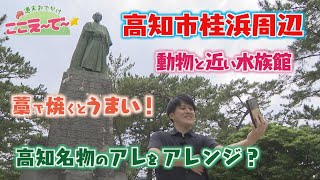 【ゴジカル！】週末おでかけ！ここえ～で～★高知市桂浜周辺