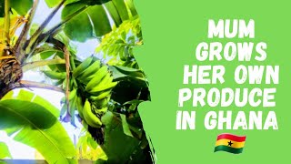 Mum grows her own produce in Ghana | Moving Back | Grow what you eat | Mini Farm #homestead