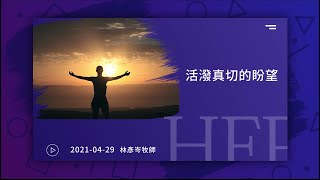 信友靈修默想2021-04-29 詩篇17:10-15 活潑真切的盼望 林彥岑牧師