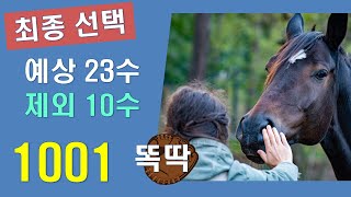 로또 1001회 - 최종선택 / 예상번호 23개와 제외수 10개 그리고 조합팁