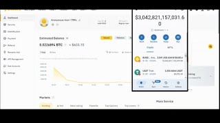 How to flash and create fake bitcoin Usdt trc20 and other coins software beepall