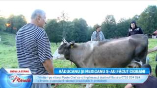 Raducanu si Mexicanu s-au facut ciobani... (La Maruta / Editia 197)