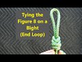 Tying the Figure 8 on a Bight (End Loop)