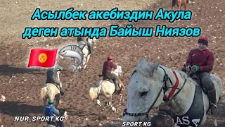 Быйылкы жылдын эң таза улагы болду Байыш Ниязов Иляс балбандын тоюн мактады 🇰🇬💥💥💥