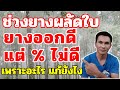 ช่วงยางผลัดใบ ออกดีแต่เปอร์เซ็นต์ไม่ดีเพราะอะไร จะแก้ยังไง