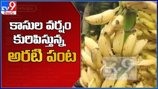 అరటి రైతులకు కాసుల పంట - TV9