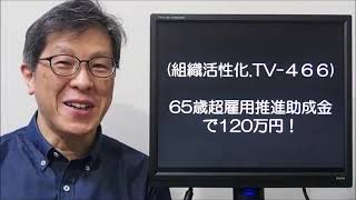 ６５歳超雇用推進助成金で１２０万円