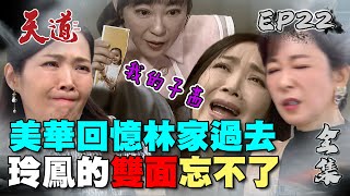 天道 EP22 完整版｜雙面玲鳳演很大 美華反擊揭開小三心機｜FIGHT FOR JUSTICE｜【365 PLUS燃魔女膠囊】