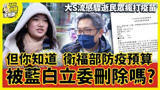 大S流感驟逝全民狂排打疫苗！但民眾知道衛福部防疫預算被藍白立委刪除嗎？【 486街頭全民調 】