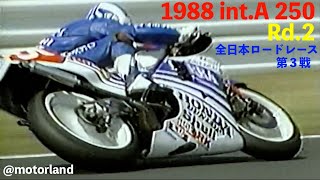 1988 国際A級250cc Rd.2 全日本ロードレース第3戦 