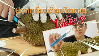 วิธีปอกทุเรียน ง่ายๆ ใช้คัตเตอร์ปอกก็ยังได้ How to peel durian with small cutter By Mr Gabpa