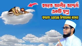 হযরত আলীর আশ্চর্য একটি স্বপ্নের কাহিনী shahidur rahman mahmudabadi new bangla waz মাহমুদাবাদী