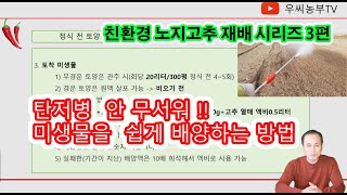 2021 고추 탄저병 예방 효과, 미생물 배양 방법  / 친환경 노지 고추 재배 시리즈 3편