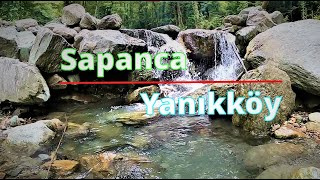 Doğada Kal | Köyde Hayat Var | Natural Life | Sapanca Yanıkköy Derleme Klibimiz😎 1080p HD*