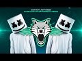 DJ Snake ft. Justin Bieber - Let Me Love You (Marshmello Remix)