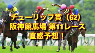 チューリップ賞（G2） 阪神競馬場  第11レース 直感予想！