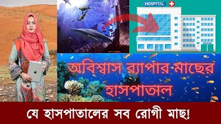 যে হাসপাতালের সব রোগী মাছ! | Mojar_Khobor | মজার_খবর