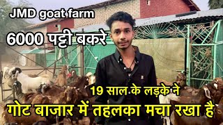 गोट बाजार में तहलका मचा रखा है 19 साल के लड़के ने | jmd goat farm 9119319874 sirohi goat for sale