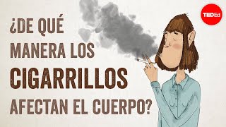 Cómo afectan los cigarrillos al cuerpo - Krishna Sudhir