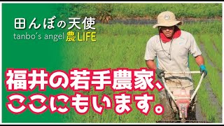 【農業ユーチューバー】若手農家が自己紹介します【田んぼの天使】