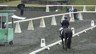 第60回東都学生馬術大会　複合馬術競技　1年　伊丹媛香　桜望