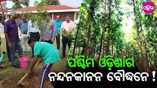 Boudh News: ବୌଦ୍ଧର ଇକୋ ପାର୍କ ପଶ୍ଚିମ ଓଡ଼ିଶାର ନନ୍ଦନକାନନର ମାନ୍ ପାଏବା