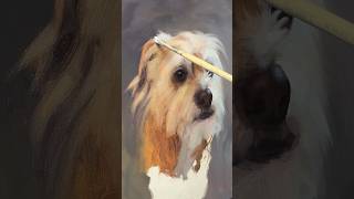 Charlie oil painting. Commissioned pet portrait #petportrait #petportraitartist #dog #oilpainting