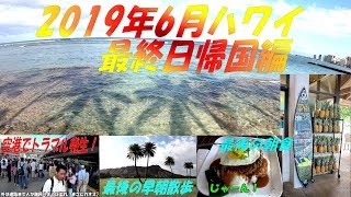 2019年6月ハワイ 最終日帰国編（ありがとうハワイ！でも最後にトラブルが・・・）