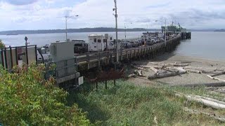 Crackdown on ferry line cheaters after line-cutting incident at Fauntleroy ferry