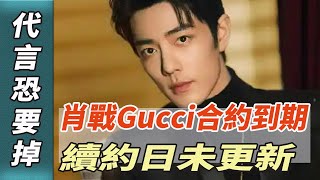 肖戰《Gucci》合約到期！“續約日”未更新，代言恐要掉!#肖戰#王壹博#娛樂123