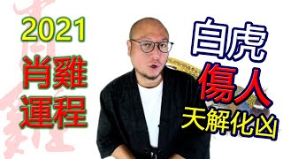 2021年【肖雞】辛丑牛年生肖運程