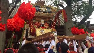 平成29年英賀神社本宮（西浜屋台②）