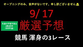 【競馬予想】2022 9/17厳選予想【平場予想】