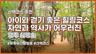 경주 삼릉숲, 소나무 숲길에서 느끼는 자연 속 힐링 여행 🌳