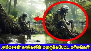 அமேசான் காடுகளின் மறைக்கப்பட்ட மர்மங்கள் | Hidden Mysteries of Amazon Rainforest | Vinotha Unmaigal