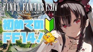 【FF14】戦闘システムややこしすぎて脳がバグる【鉄穴森叫子】