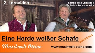 Eine Herde weißer Schafe - 2. Lernvideo - Musikwelt - Christian Ottino \u0026 Heli Auer (c) 2022