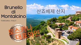 [10min Wine Academy] Ep.17 브루넬로 디 몬탈치노, 토스카나 산죠베제 와인산지, Sangiovese 와인 | Brunello di Montalcino II