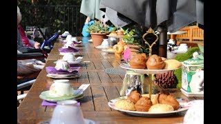 Alice in Wonderland Morning Tea at Gladesville - Christadelphian Aged Care